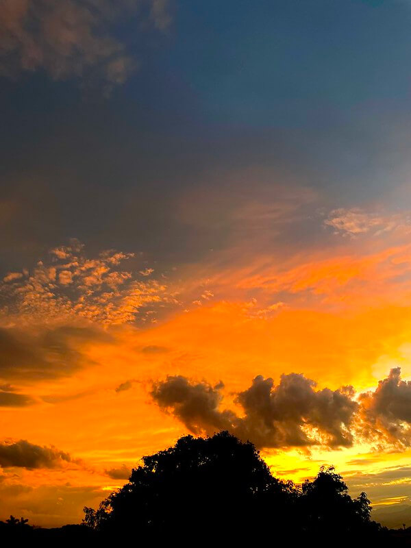 Photographie de coucher de soleil et d'arbres à la tombée de la nuit prise avec l'iPhone 12 Pro, montrant la gestion de l'exposition en faible luminosité par le mode nuit.
