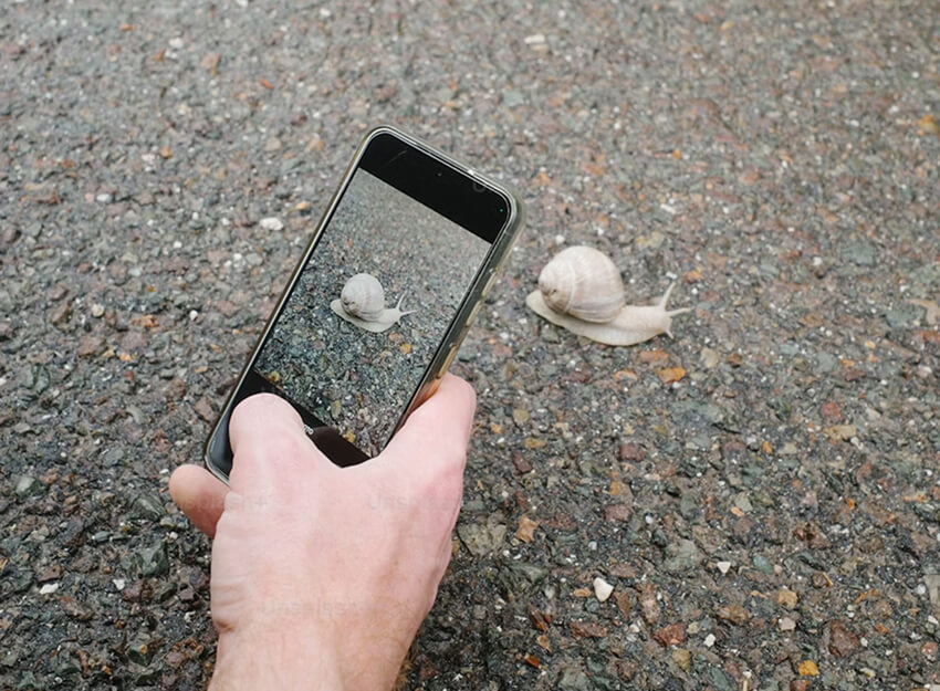 Utilisateur prenant une photo avec l’iPhone SE 2022, illustrant ses capacités photographiques.